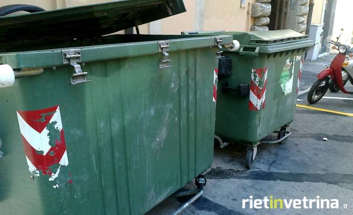 Cassonetti immondizia