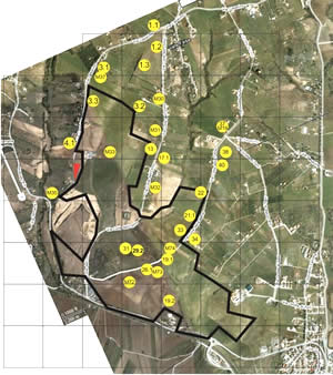 Area archeologica zona Polo logistica