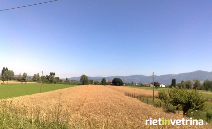 Piana reatina
