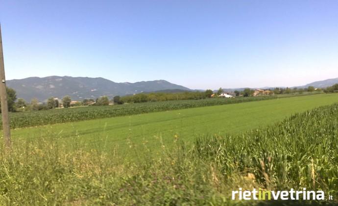 Piana reatina
