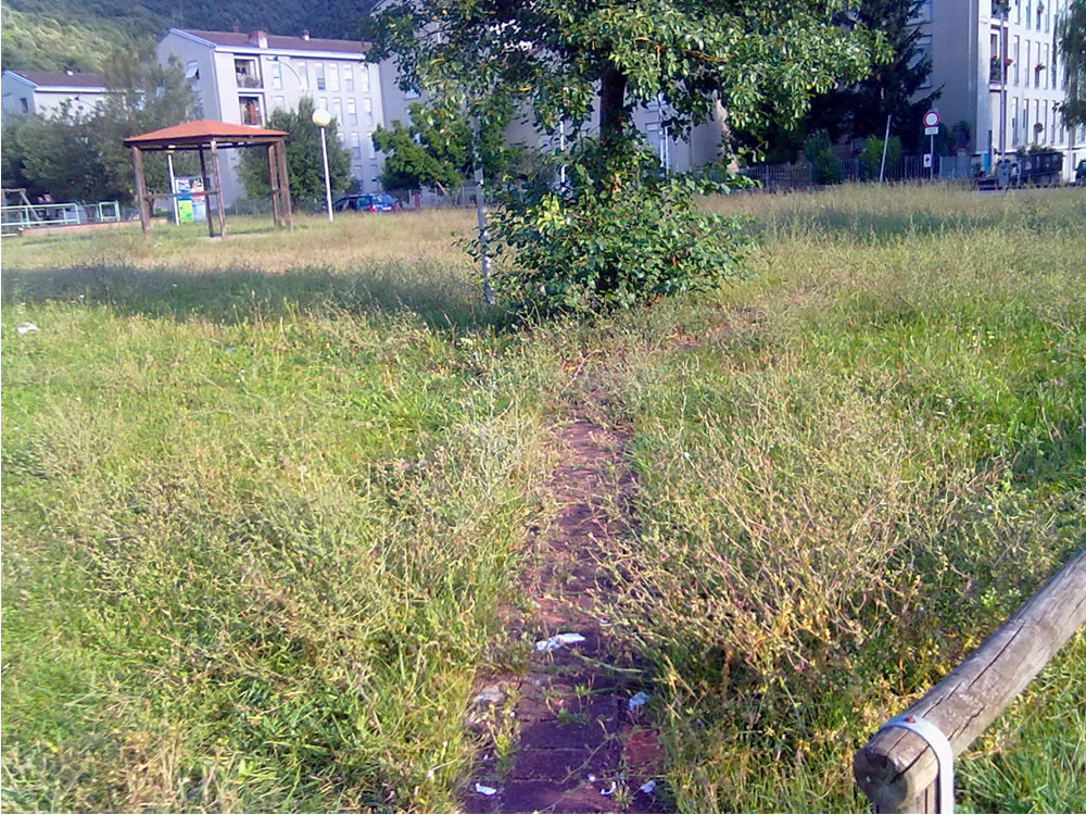 degrado_erba_alta_sporcizia_parco_via_comotti_04_08_14_b