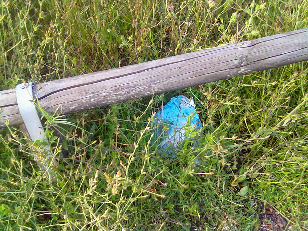 degrado_erba_alta_sporcizia_parco_via_comotti_04_08_14_c