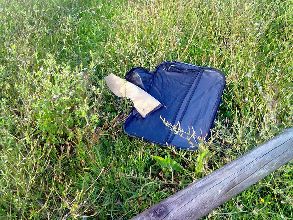 degrado_erba_alta_sporcizia_parco_via_comotti_04_08_14_d