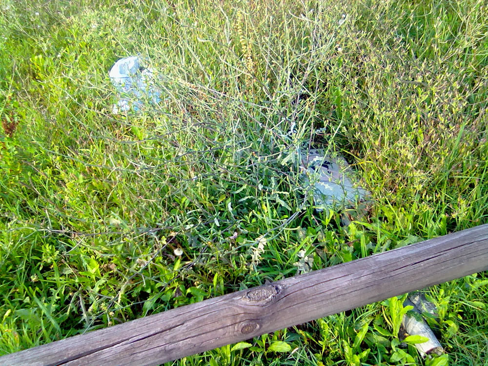 degrado_erba_alta_sporcizia_parco_via_comotti_04_08_14_f