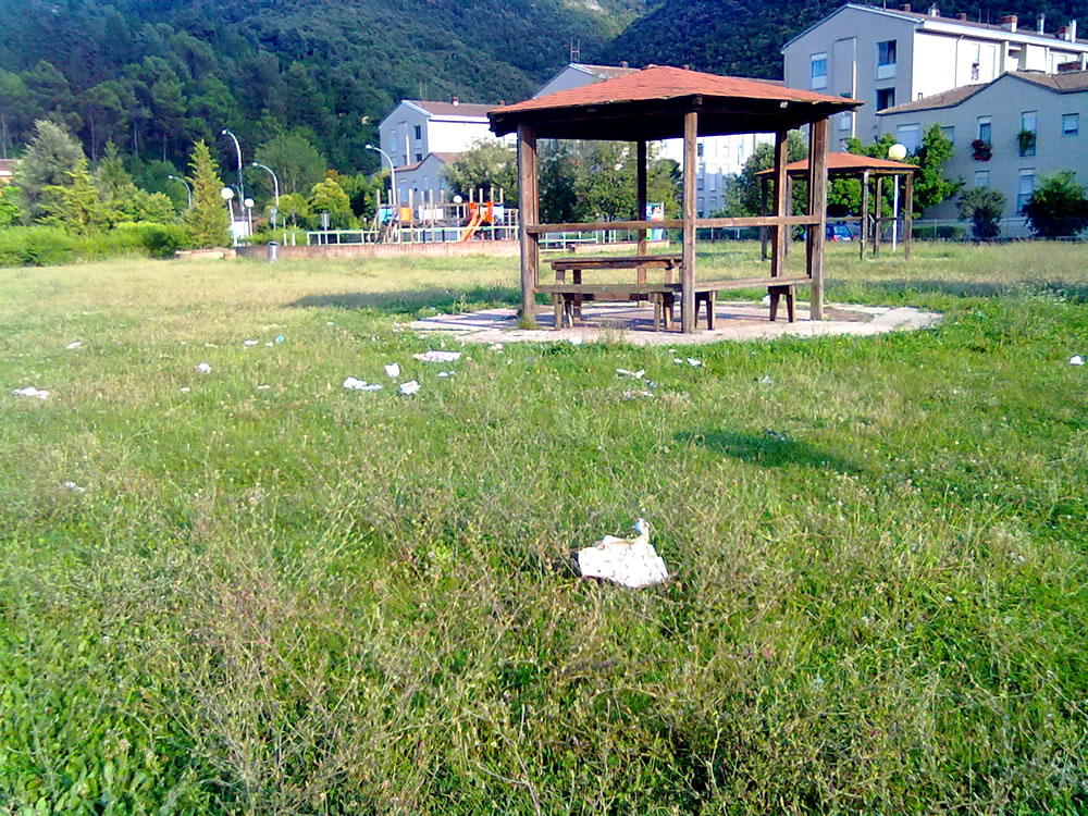 degrado_erba_alta_sporcizia_parco_via_comotti_04_08_14_g