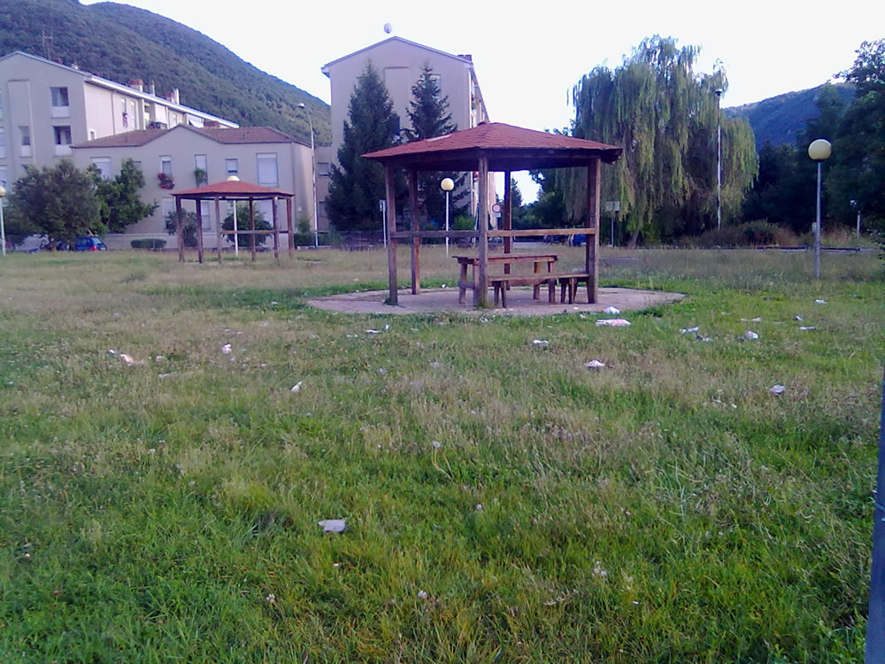 degrado_erba_alta_sporcizia_parco_via_comotti_04_08_14_h