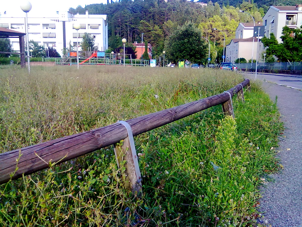 degrado_erba_alta_sporcizia_parco_via_comotti_04_08_14_n