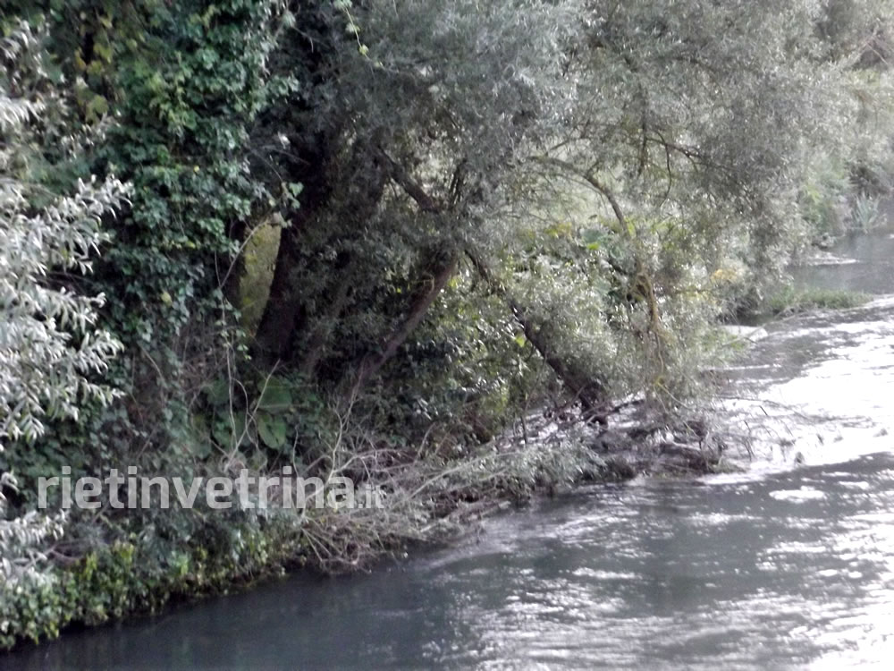giorlandina_erba_alta_degrado_sporcizia_10_08_14_g