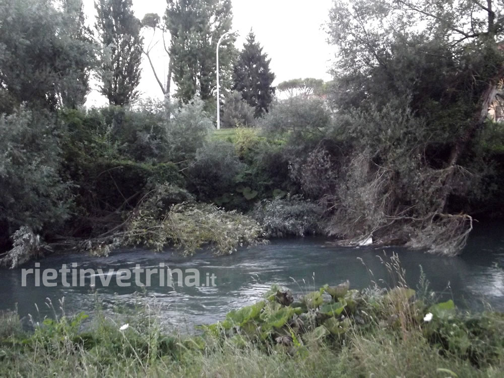 giorlandina_erba_alta_degrado_sporcizia_10_08_14_l
