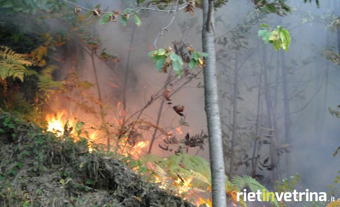 incendi_incendio_bosco_foresta_1