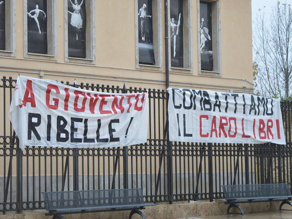 liceo_scientifico_occupazione_17_11_14_e