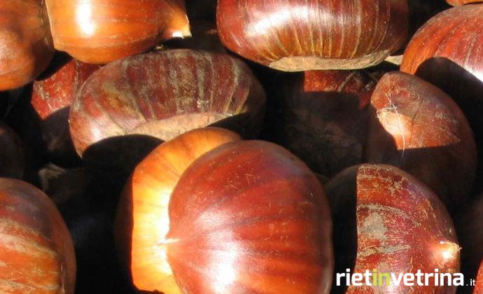 castagne_nuove
