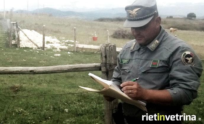 cfs_corpo_forestale_dello_stato_lana_abbandonata
