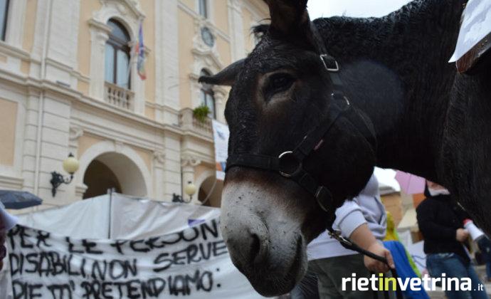 partecipazione_rizzetto_ippoterapia_manifestazione_10_10_15_1