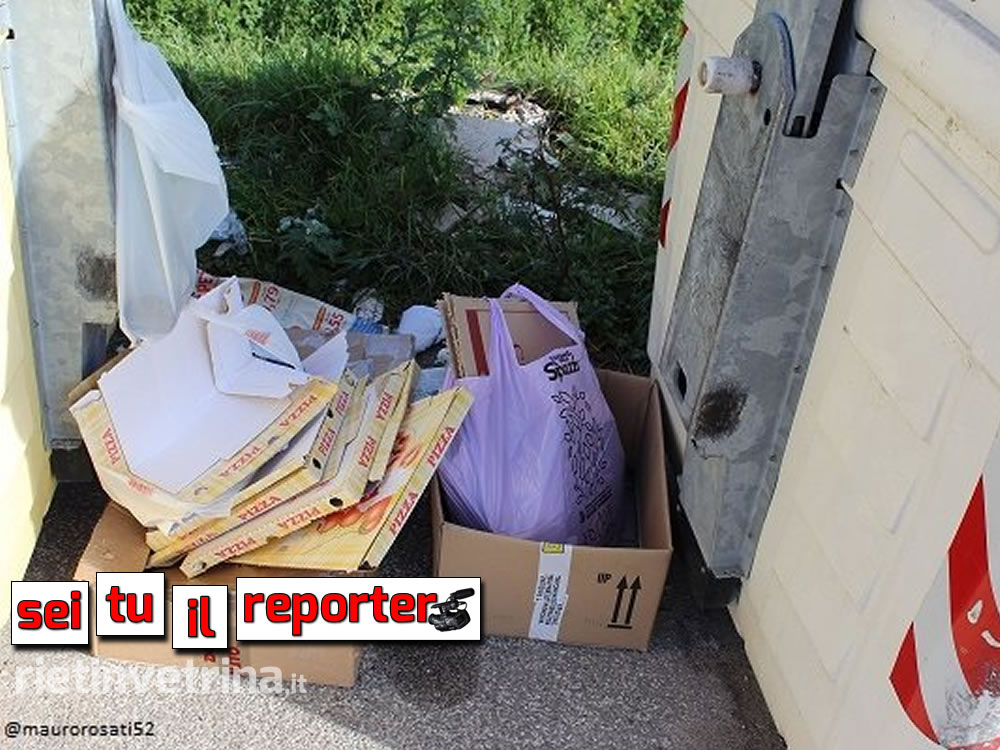 cassonetti_immondizia_sei_tu_il_reporter_mauro_17_11_15_a