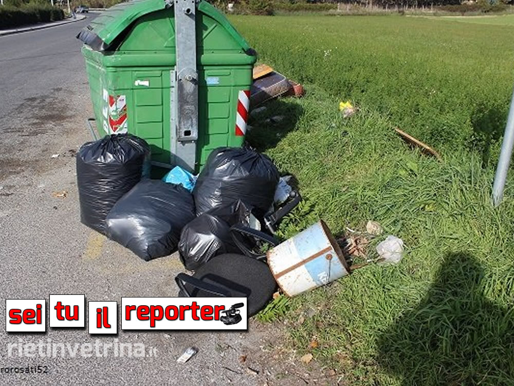 cassonetti_immondizia_sei_tu_il_reporter_mauro_17_11_15_b