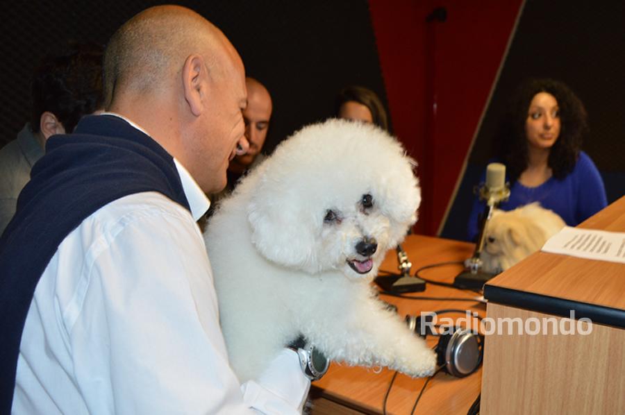 Festa Radiomondo For You Cani 12