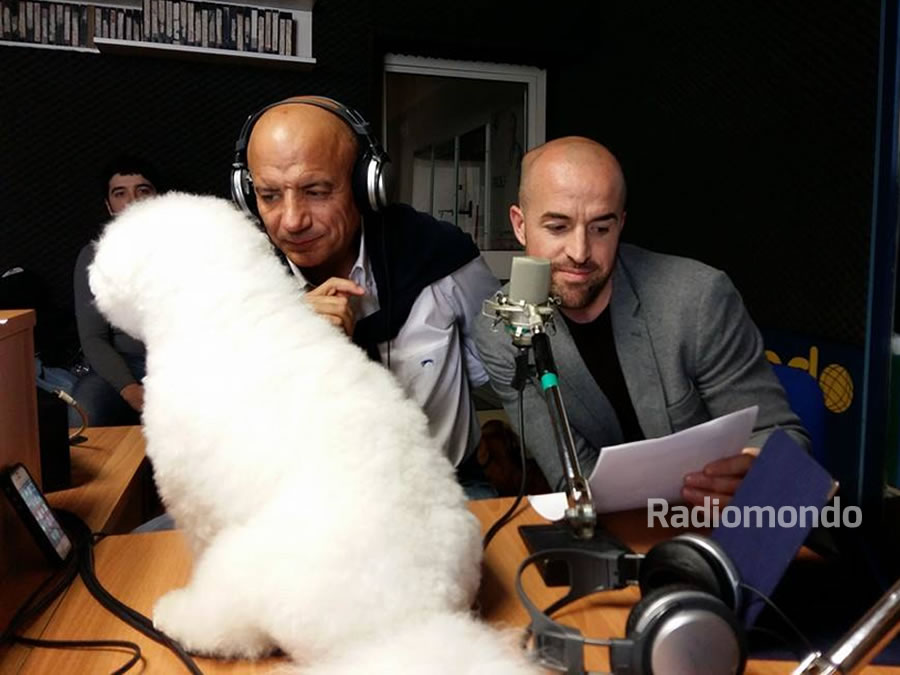 Festa Radiomondo For You Cani 19
