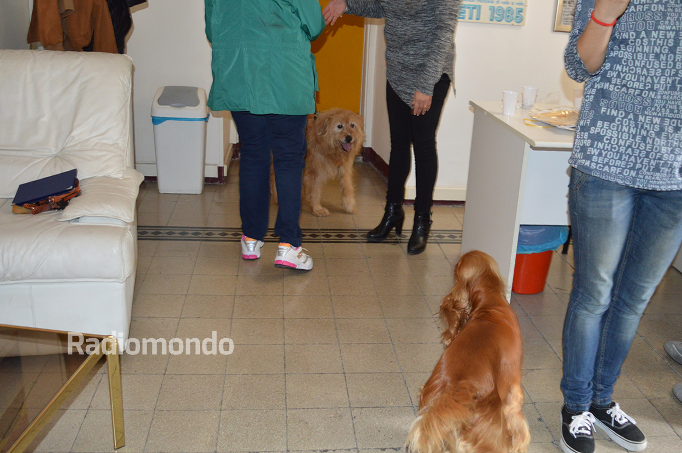 Festa Radiomondo For You Cani