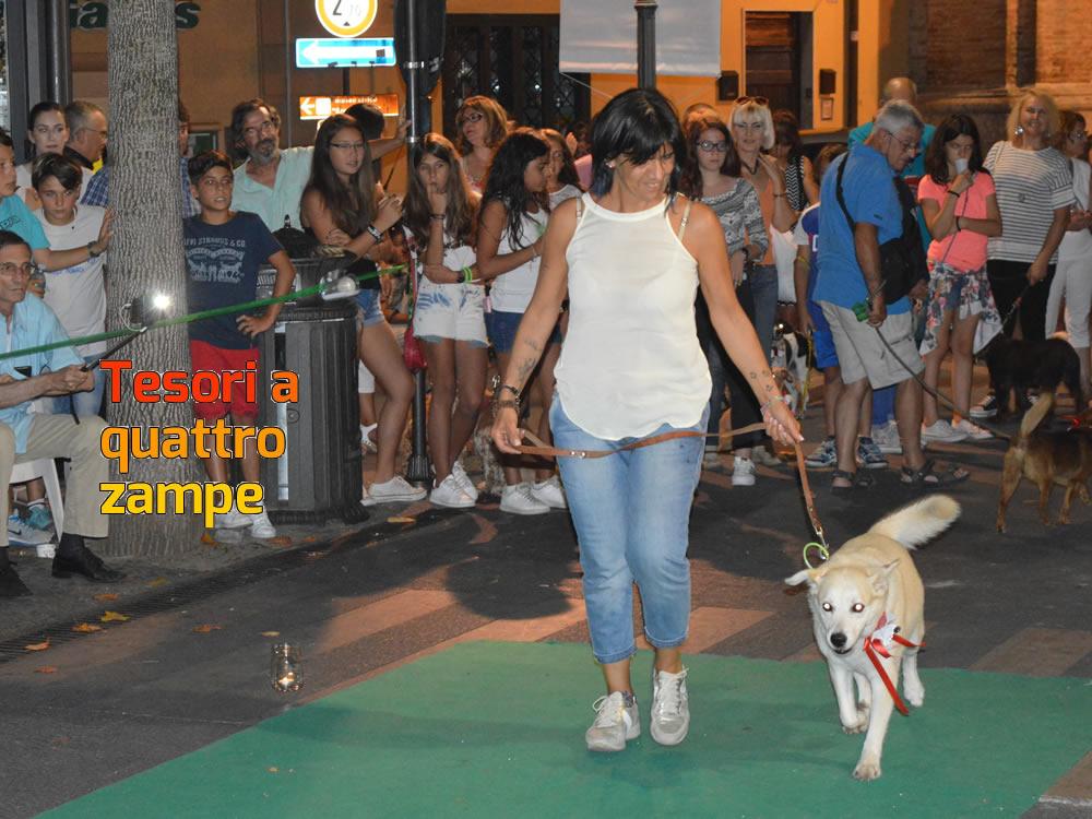 giornata_da_cani_2016_13