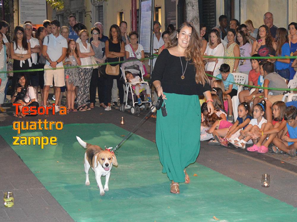 giornata_da_cani_2016_15