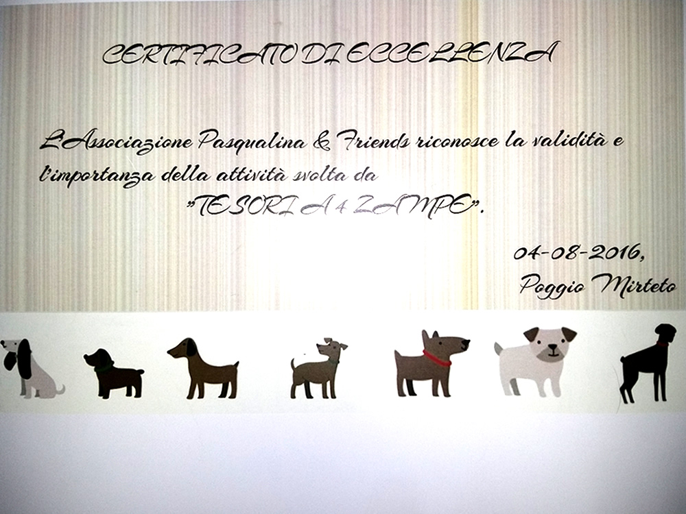 una_giornata_da_cani_22_certificzione_per_tesori_a_quattro_zampe
