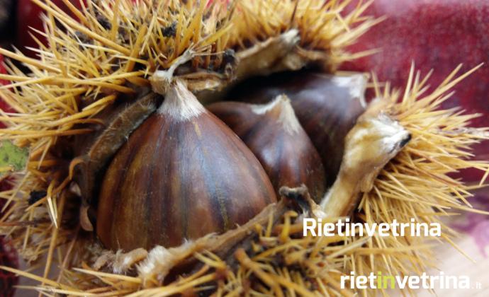 castagne_marroni_2