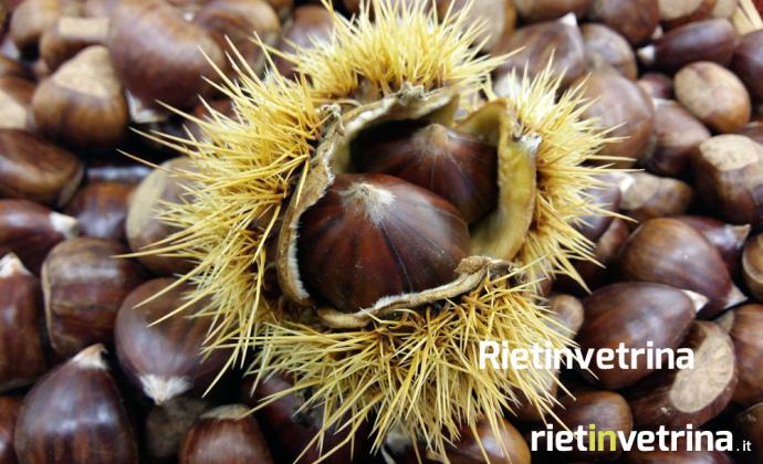 castagne_marroni_4