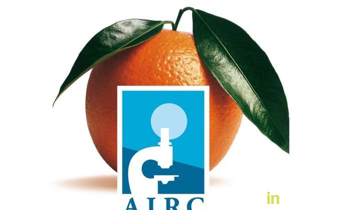 http://rietinvetrina.it/wp-content/uploads/2017/01/arancia_logo-AIRC-690x420.jpg