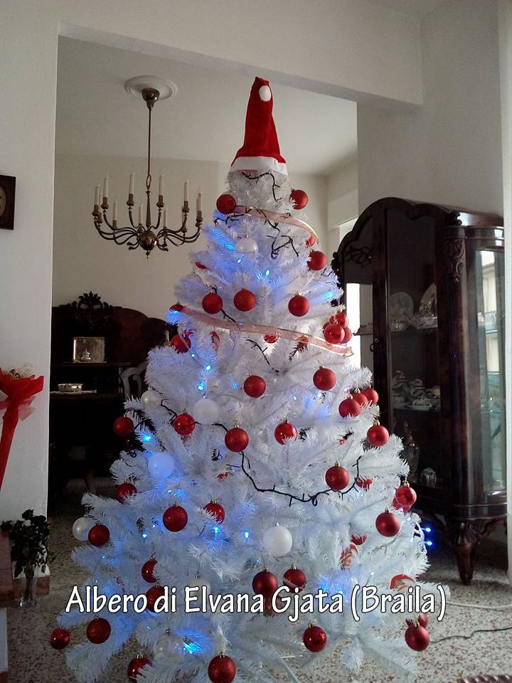 natale_con_rietinvetrina_albero_elvana_gjata