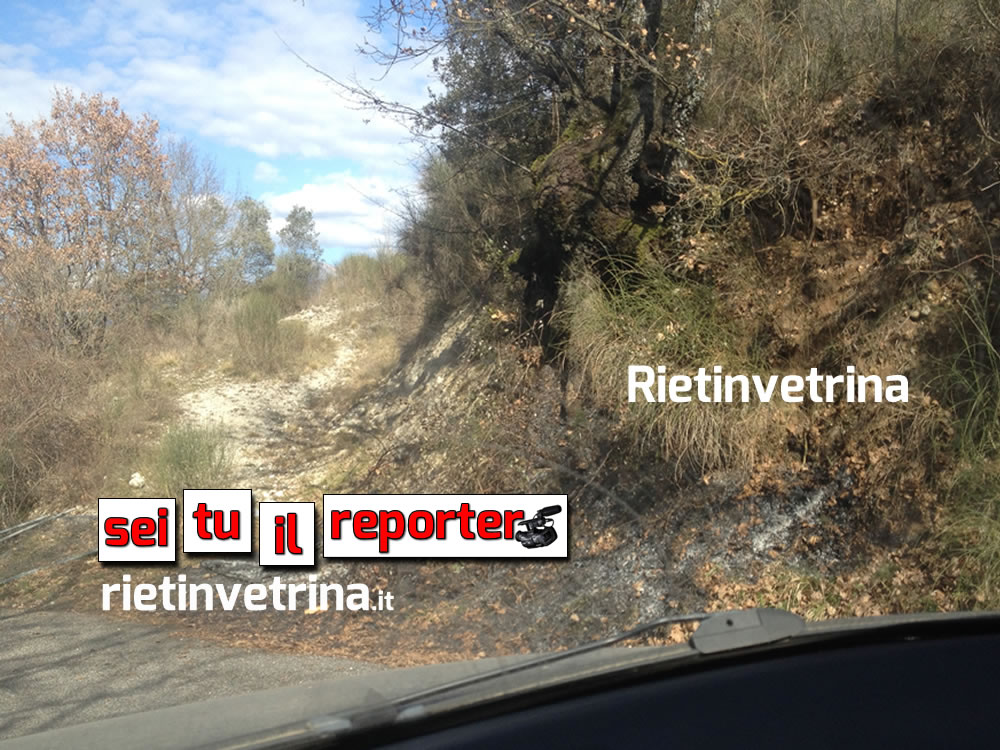 sei_tu_il_reporter_campomoro_2
