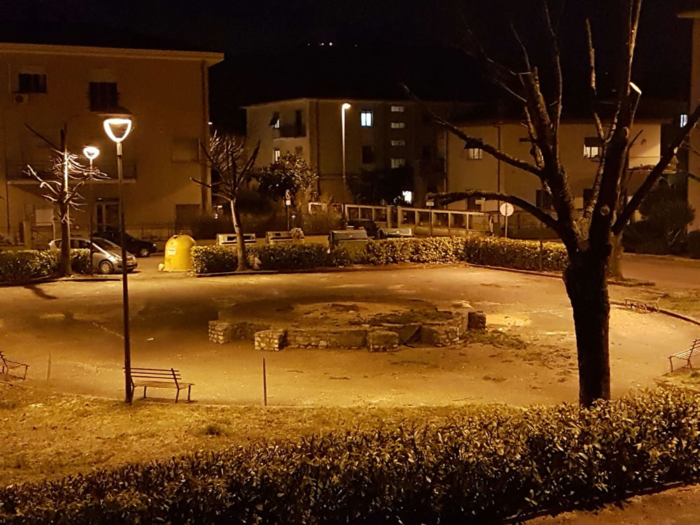 albero_piazza_rieti_5