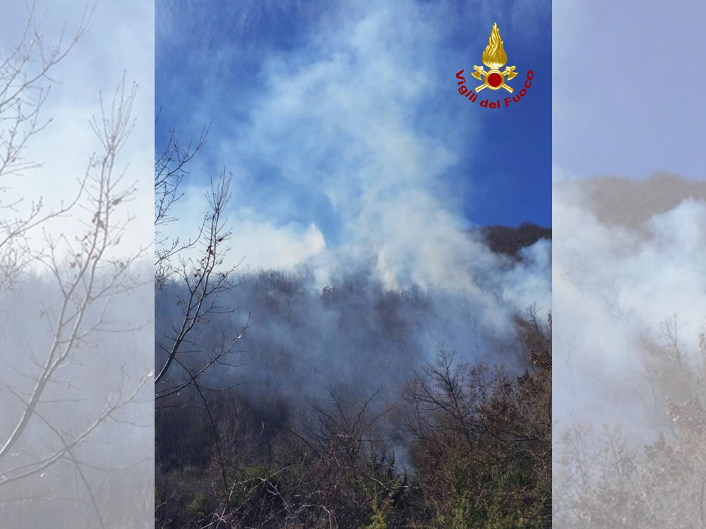 vigili_de_fuoco_incendio_bosco_pompieri4