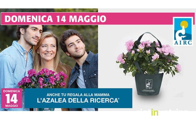 festa_mamma_2017_azalea_airc