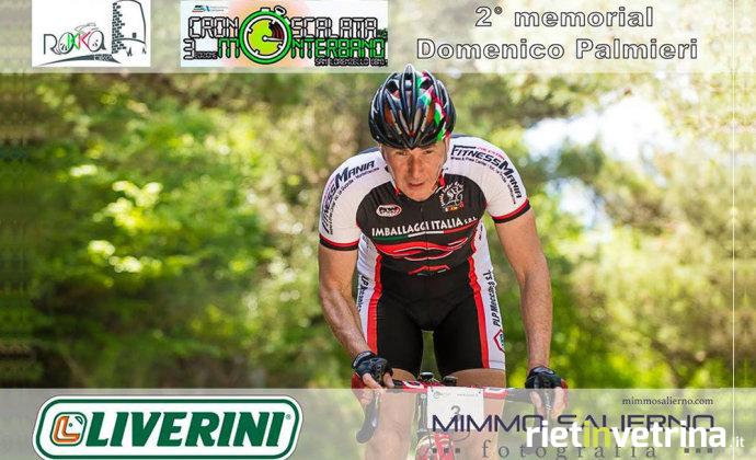 memorial_domenico_palmieri_2017