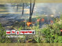 incendi_parco_via_lama_23_06_17