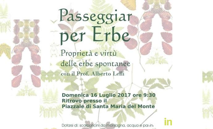 andar_per_erbe_pro_loco_borbona