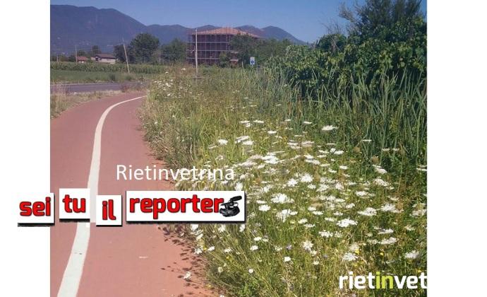 erbacce_pista_ciclabile_rieti