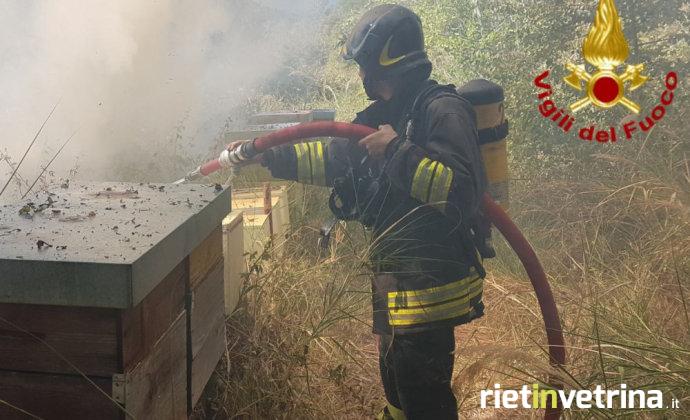 incendio_sterpaglie_poggio_san_lorenzo_07_08_17_a