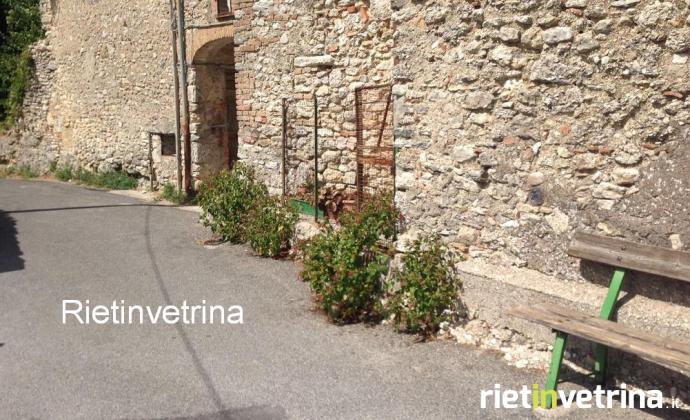 sei_tu_il_reporter_maglianello_alto2