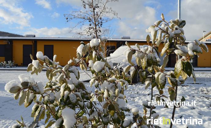 amatrice_casette_sae_neve_17_12_17_1