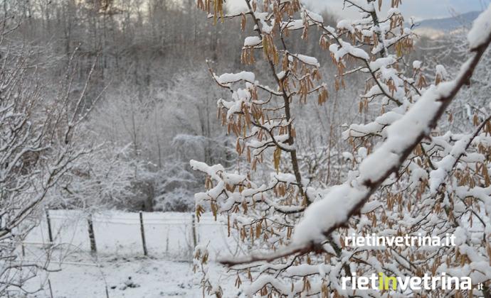 amatrice_neve_natura_17_12_17_1