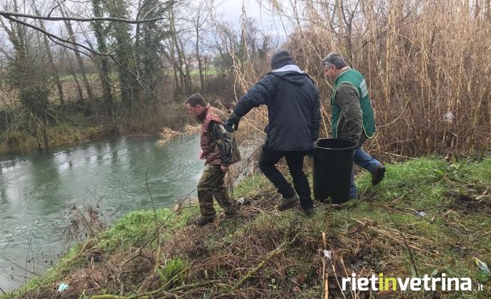 ripopolamento_tote_fiume_velino_associaizone_velino_rieti_fare_ambiente
