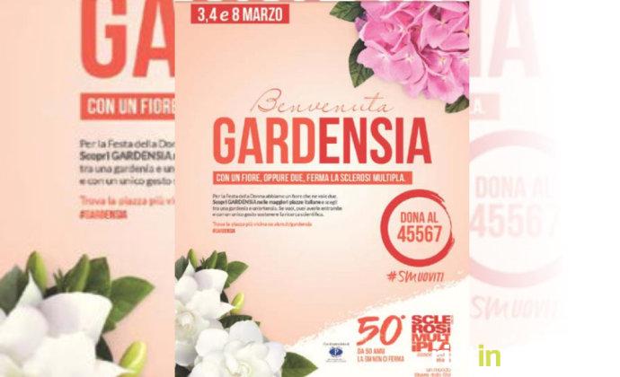 aism_gardensia