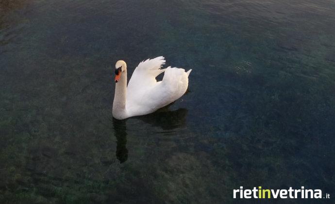 riserva_dei_laghi_giornata_dell_acqua_2018